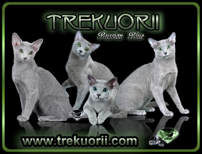 trekuorii-ban