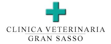 Clinica_gransasso_large[1]